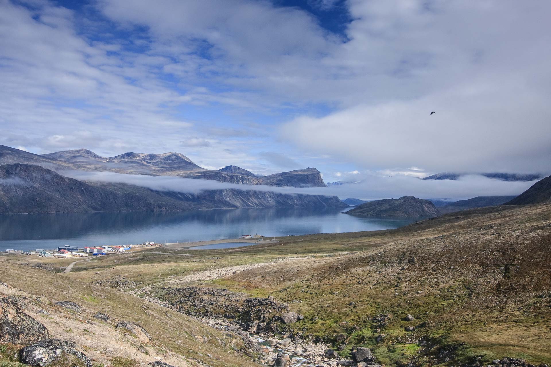 Pangnirtung Baffin Fisheries Premium, Wild, Cold Water Seafood